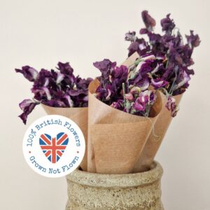 Sweet Peas, Natural Deep Purple, Dried, 20-25cm