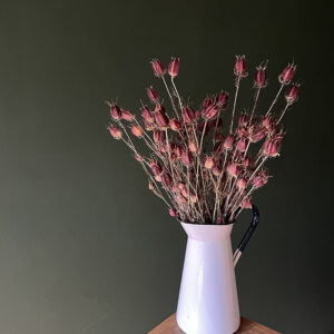 Nigella, Natural Deep Burgundy, Dried (Love-in-a-Mist) 40cm