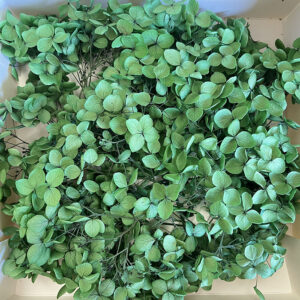 hydrangea, preserved florets up to 10cm emerald green