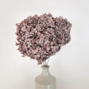 Hydrangea, Preserved, Dusky Pale Mauve, 50cm