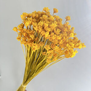 Hill Flower, Yellow, Dried, 100g, 50cm