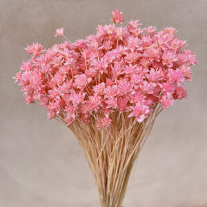 Hill Flower, Light Pink, Dried, 100g 50cm