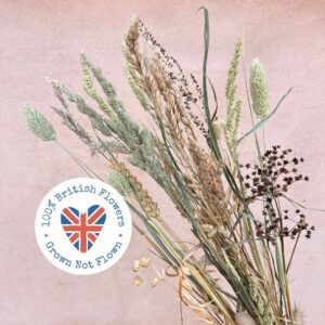 Dried Mixed Grasses, 40-80cm ~ BRITISH