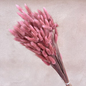 Lagurus Grass, Dusky Pink, Dried (Bunny Tails) 50-70cm 100g