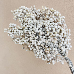 Pepper Berries, Dried, White (Schinus Molle)