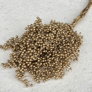 Pepper Berries, Dried, Gold (Schinus Molle)