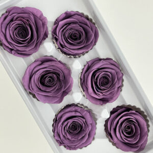 Roses, Dusty Lavender Purple, Preserved, x6 blooms, 6cm (Every Love®)