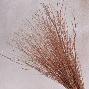 Birch Twigs, Metallic Copper, Dried (Betula) 60cm