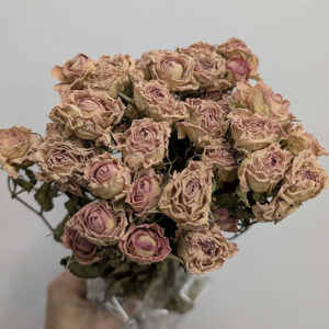 Spray Roses, Natural Old Pink, Dried, 50-60cm