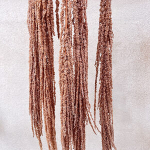 Amaranthus caudatus, Dusky Brown, Preserved, 110cm