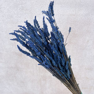Lavender, Blue, Preserved (Lavandula) up to 40cm