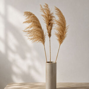 Wild Reed Grass, Natural Light Brown, Dried, 85cm, Plume up to 28cm