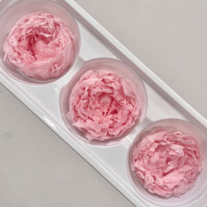 Peony, Pale Pink, Preserved, x3 blooms, 7-8cm (Every Love®)