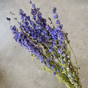 Larkspur, Natural Lavender Blue, Dried (Delphinium) 70cm