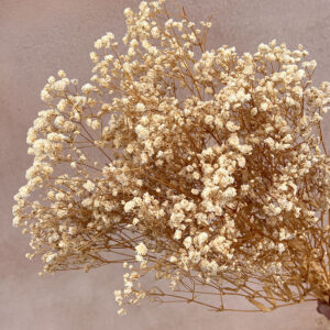 Gypsophila, Natural Creamy White, Preserved (Baby’s Breath) 70cm