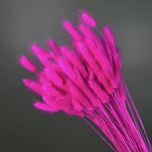 Lagurus Grass, Hot Cerise Pink, Dried (Bunny Tails) 100g 50-70cm