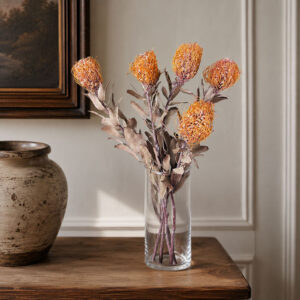 Pincushions, Natural Pale Orange, Dried (Leucospermum) 45cm