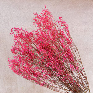 Gypsophila, Hot Cerise Pink, Preserved (Baby’s Breath) 70cm