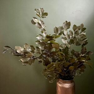 Beech, Deep Green Shades, Preserved (Fagus Sylvatica) up to 90cm