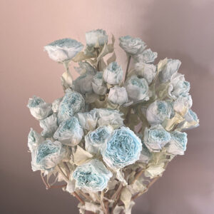 Spray Roses, Pale Blue, Preserved, 60cm