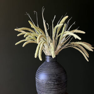Setaria italica, Mint Green, Dried (Canary Millet) 60cm