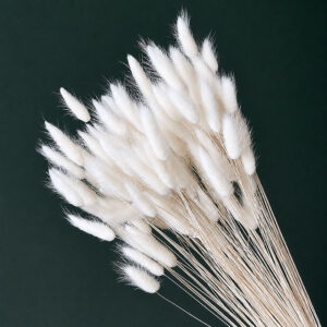 Dried Bunny Tails, Super White, 70cm 100g