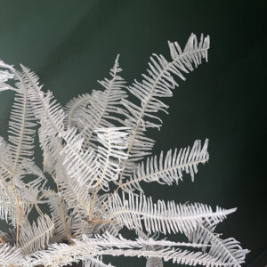 Coral Ferns, Bleached White, Preserved, 60cm (Large)